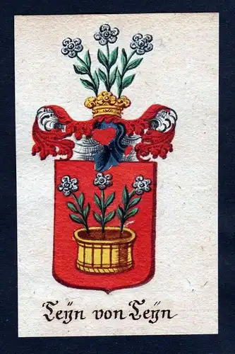 Teyn von Teyn Tyn von Tyn Böhmen Wappen coat of arms Manuskript