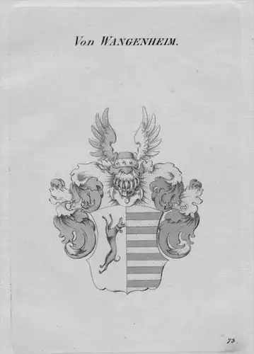 Wangenheim Wappen Adel coat of arms heraldry Heraldik crest Kupferstich