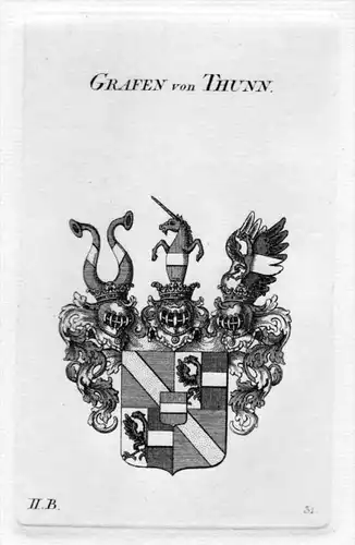 Thunn Thun Tunn Wappen Adel coat of arms heraldry Heraldik Kupferstich