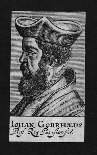 Johannes Gorrhaeus Arzt doctor Professor Frankreich Kupferstich Portrait