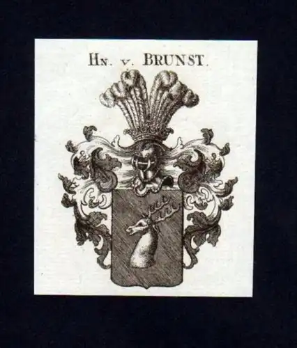 Herren v. Brunst Heraldik Kupferstich Wappen Heraldik coat of arms