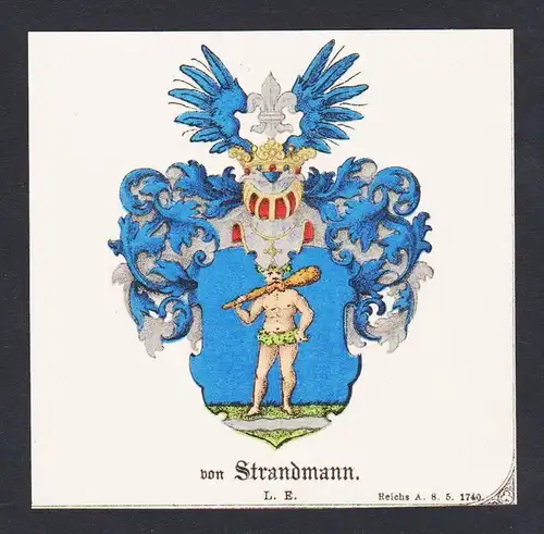 . von Strandmann Wappen Heraldik coat of arms heraldry Lithographie