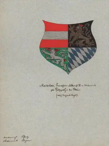 Mathilde Frau Albrecht VI Österreich Wappen Genealogie genealogy Aquarell