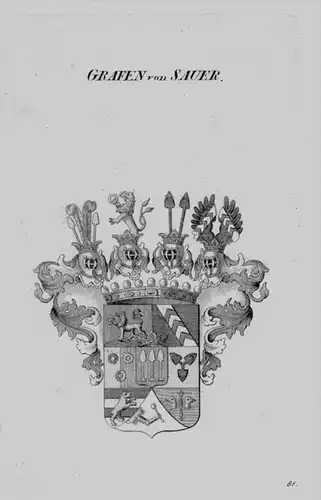 Sauer Wappen Adel coat of arms heraldry Heraldik crest Kupferstich
