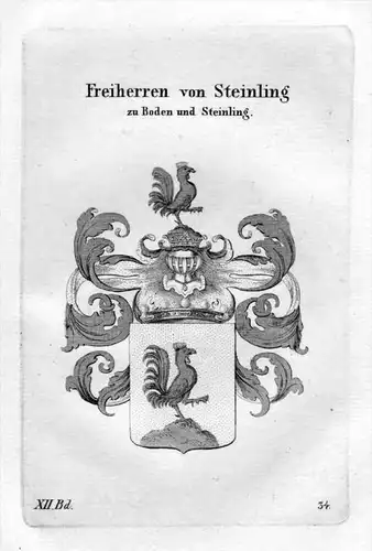 Steinling Boden Adel Wappen coat of arms heraldry Heraldik Kupferstich