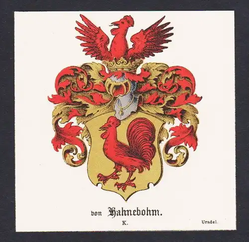 . von Hahnebohm Wappen Heraldik coat of arms heraldry Litho