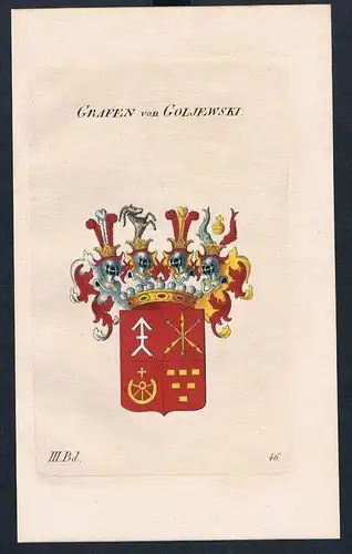 Grafen von Goljewski Wappen Kupferstich Genealogie Heraldik