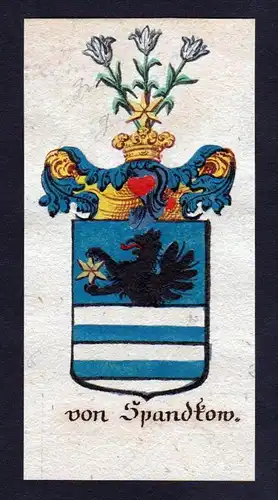 h. von Spandkow Spandkau Wappen coat of arms Manuskript Handschrift