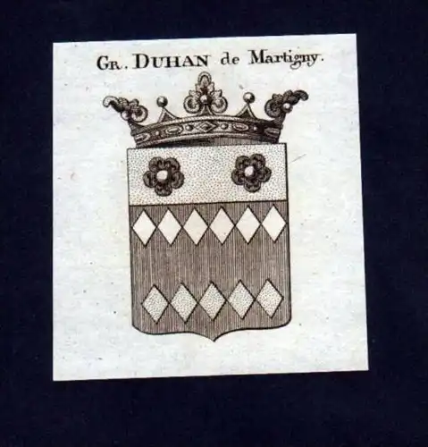 Grafen Duhan de Martigny Kupferstich Wappen