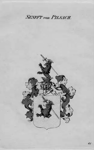 Senfft Pilsach Wappen Adel coat of arms heraldry Heraldik crest Kupferstich