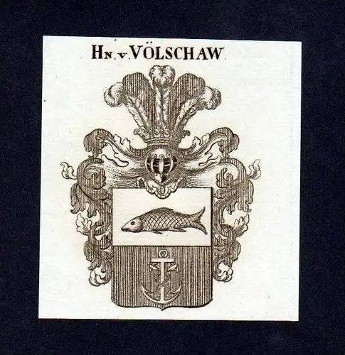 Herren von Völschaw Original Kupferstich Wappen engraving Heraldik crest