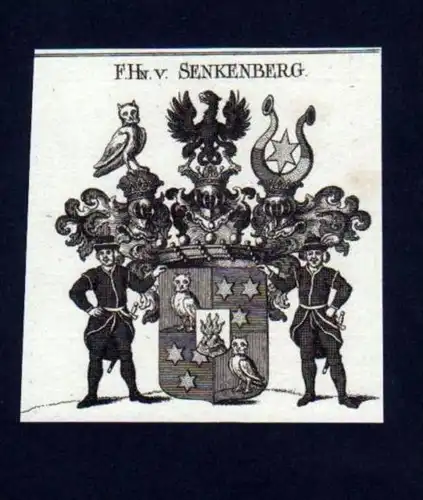 Freiherren v. Senkenberg Senckenberg Kupfer Wappen