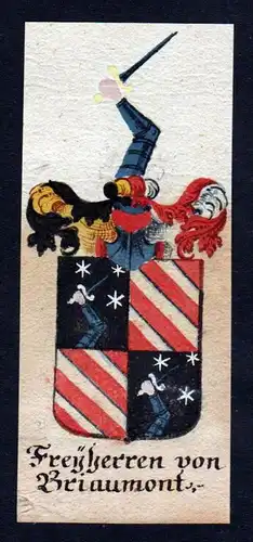 Freiherren von Briaumont Wappen coat of arms Manuskript