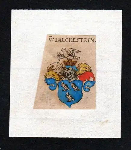 h. von Falckenstein Wappen Adel coat of arms heraldry Heraldik Kupferstich