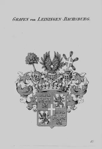 Leiningen Dachsburg Wappen Adel coat of arms heraldry Heraldik Kupferstich