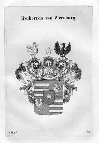 Sternburg Adel Wappen coat of arms heraldry Heraldik Kupferstich