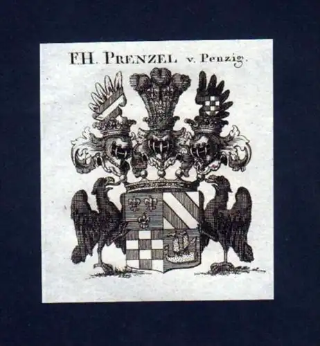 Freiherren v. Prenzel v. Penzig Kupferstich Wappen