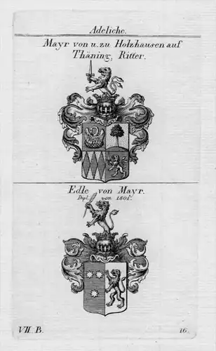 Holzhausen Thäning Mayr Wappen coat of arms heraldry  Kupferstich