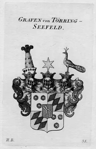 Törring Seefeld Wappen Adel coat of arms Heraldik crest Kupferstich