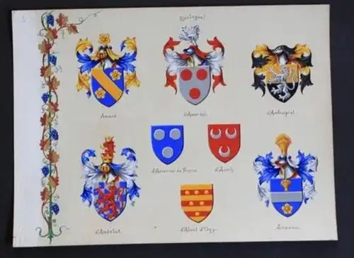 Amand d' Andelot d' Alost d' Ogy d' Anich  Blason Wappen heraldry heraldique