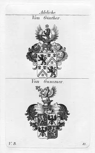 Günther / Gummer - Wappen Adel coat of arms heraldry Heraldik Kupferstich