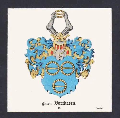 . von Dorthesen Wappen Heraldik coat of arms heraldry Litho