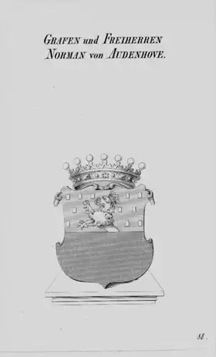 Norman Audenhove Wappen Adel coat of arms Heraldik crest Kupferstich