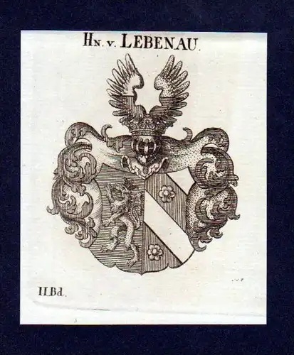 Herren von Lebenau Original Kupferstich Wappen engraving Heraldik crest