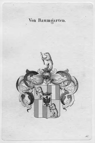 Baumgarten Wappen Adel coat of arms heraldry Heraldik Kupferstich