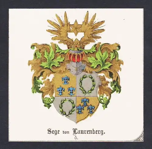 . Sege von Laurenberg Wappen Heraldik coat of arms heraldry Lithographie