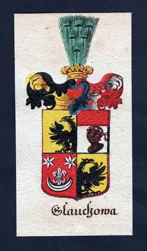 Glauckowa Glaukowa Böhmen Wappen coat of arms Manuskript