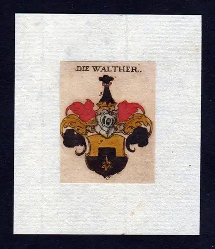 17. Jh Walther Wappen coat of arms heraldry Heraldik Kupferstich