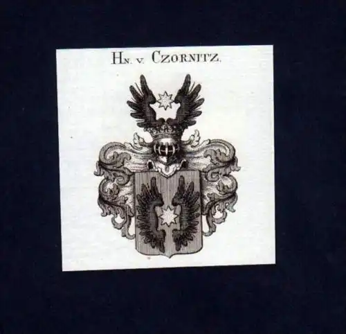 Herren v. Czornitz Heraldik Kupferstich Wappen