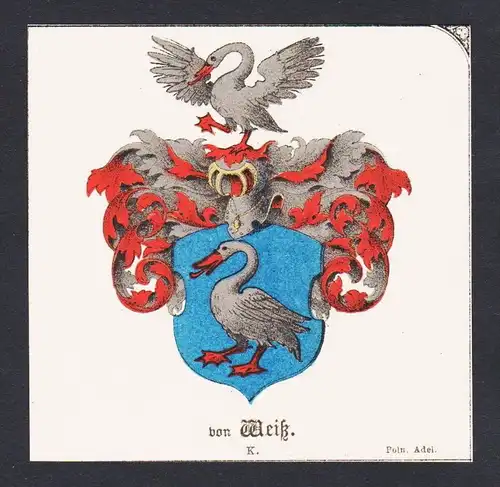 . von Weiß Wappen Heraldik coat of arms heraldry Litho