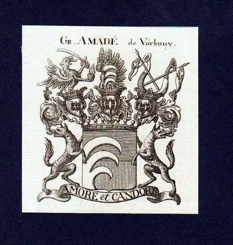 Grafen Amade de Varkony Kupferstich Wappen coat of arms Heraldik