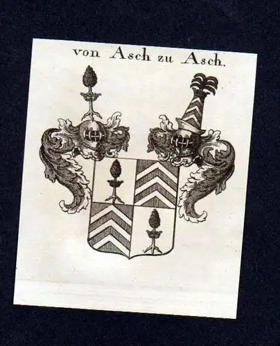 Freiherren von Asch zu Asch Kupferstich Wappen Heraldik coat of arms