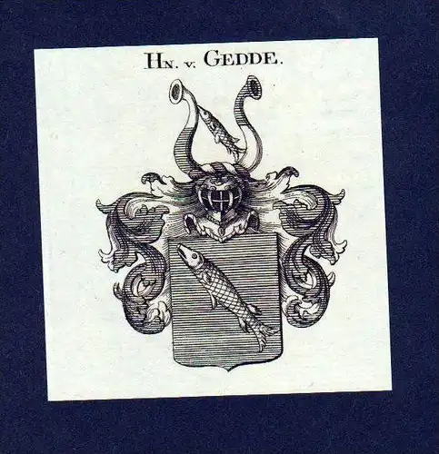 Herren von Gedde Original Kupferstich Wappen engraving Heraldik crest