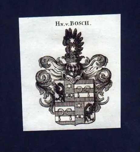 Herren v. Bosch Heraldik Kupferstich Wappen engraving Heraldik crest