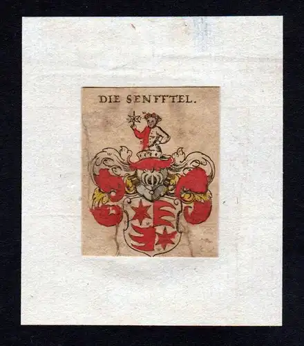 17. Jh von Senfft Wappen coat of arms heraldry Heraldik Kupferstich