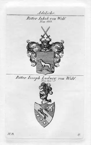 Ritter von Wolf - Wappen Adel coat of arms heraldry Heraldik Kupferstich