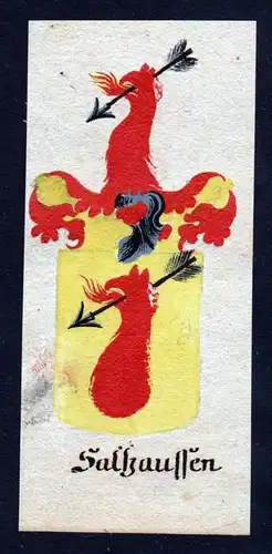 Salzhausen Saltzhausen Böhmen Wappen coat of arms Manuskript