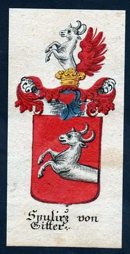 Spulirz von Gitter. Böhmen Wappen coat of arms Manuskript
