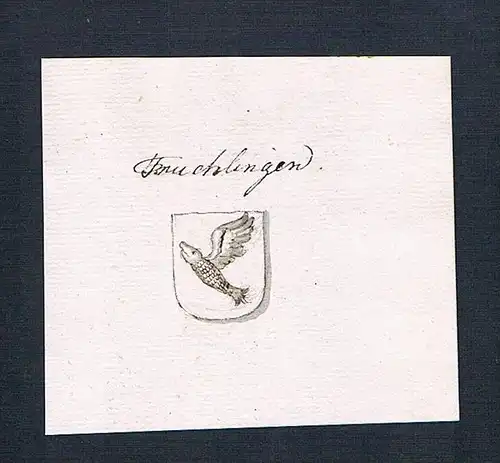 Truchlingen - Treuchnlingen Handschrift Manuskript Wappen manuscript coat of arms