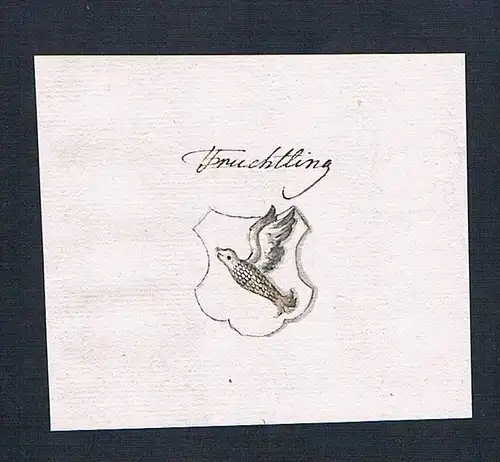 Truchtling - Truchtling Handschrift Manuskript Wappen manuscript coat of arms