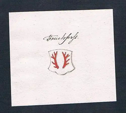 Truchsess - Truchseß Handschrift Manuskript Wappen manuscript coat of arms