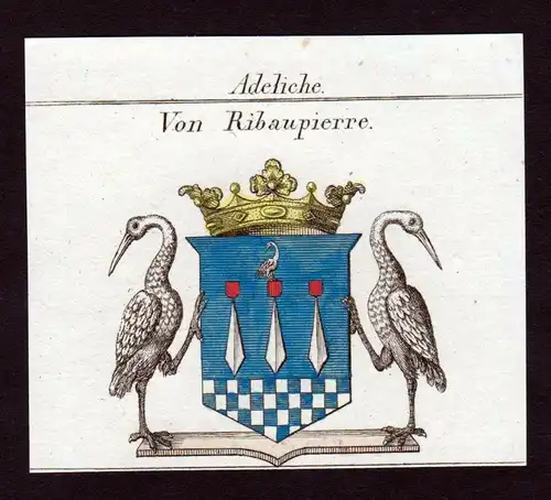 Adeliche von Ribeaupierre - Ribeaupierre Wappen Adel coat of arms heraldry Heraldik Kupferstich