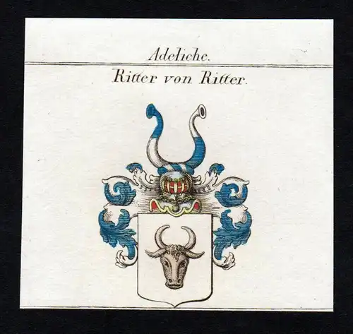 Adeliche Ritter von Ritter - Ritter Wappen Adel coat of arms heraldry Heraldik Kupferstich