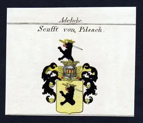 Adeliche Senfft von Pilsach - Senfft Pilsach Wappen Adel coat of arms heraldry Heraldik Kupferstich