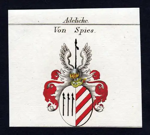 Adeliche von Spies - Spies Wappen Adel coat of arms heraldry Heraldik Kupferstich