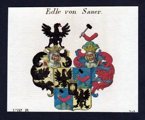 Edle von Sauer - Sauer Wappen Adel coat of arms heraldry Heraldik Kupferstich